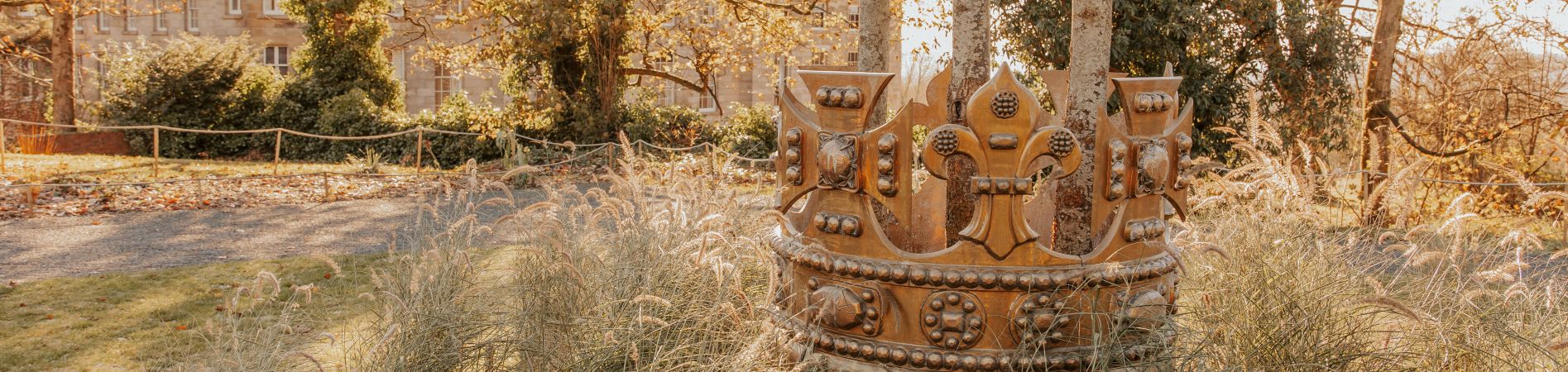 Tree with crown around it