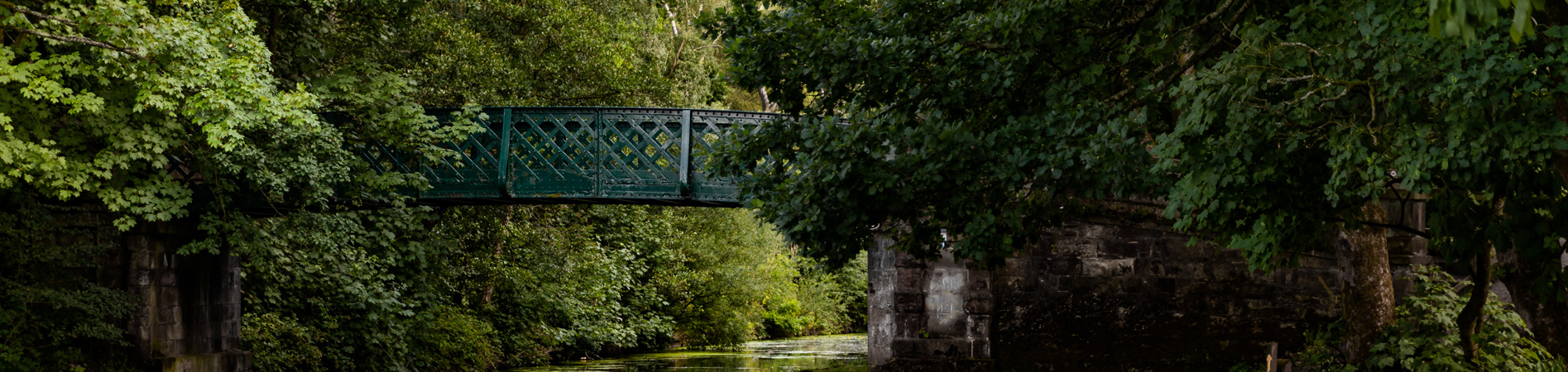 Banner-bridge-and-path