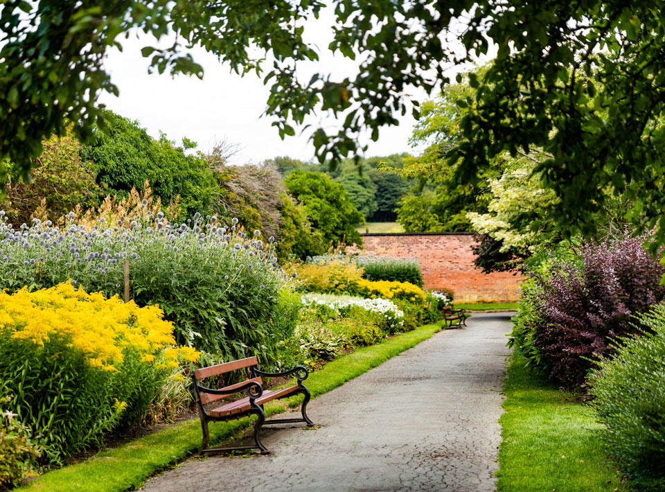 Bench in the garden