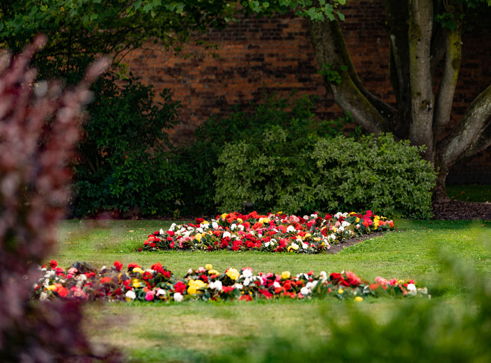 Flower beds in the garden