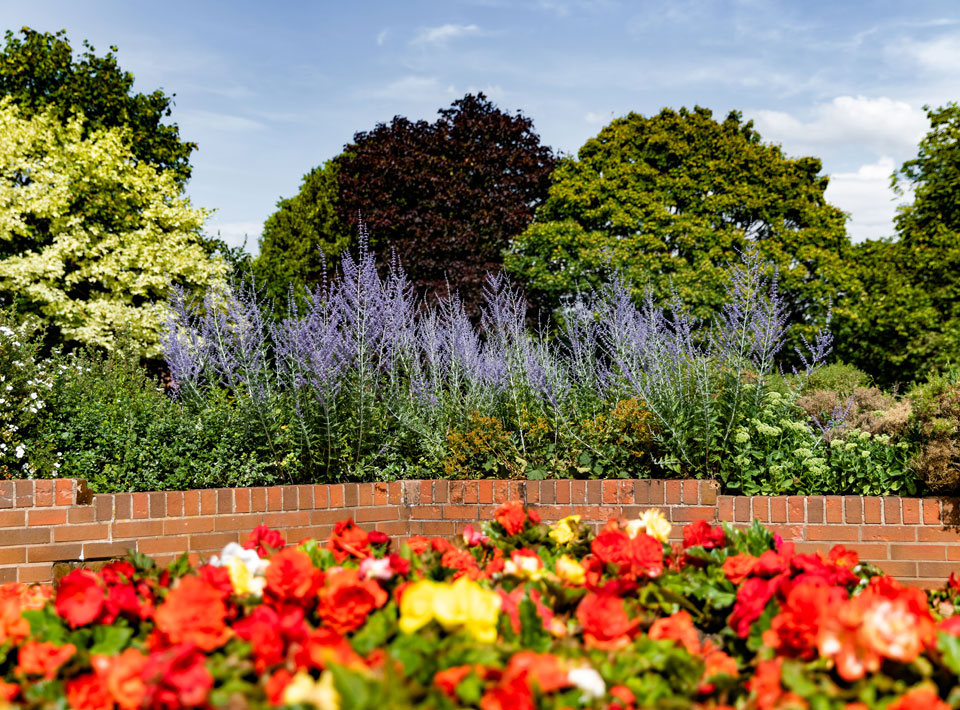 Flowers along the walled garden