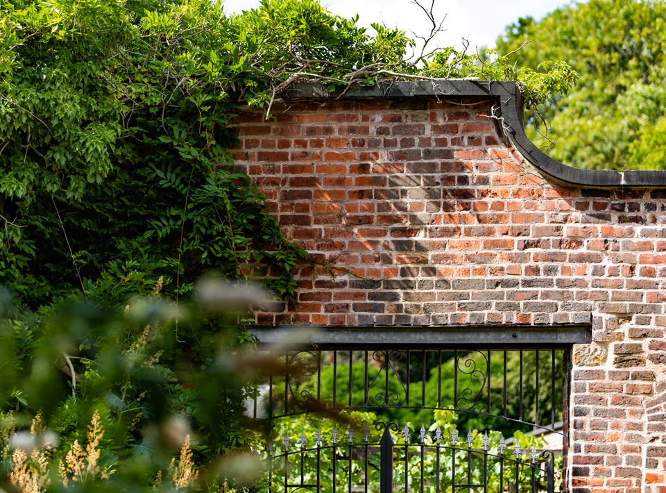 Garden gate close-up