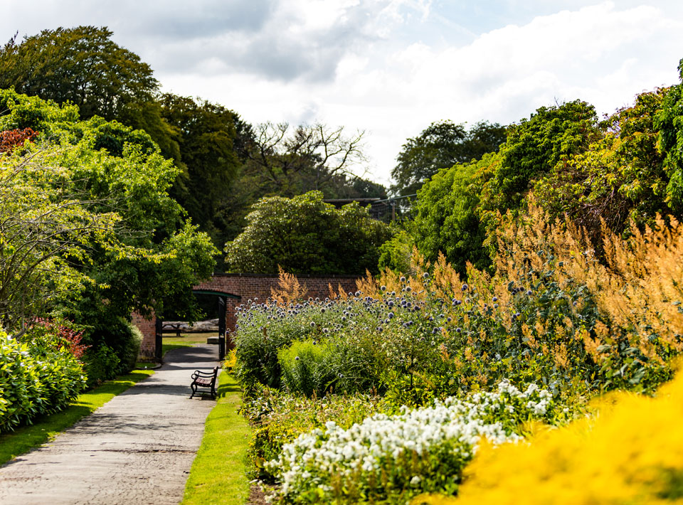 View of the gate and bench in the garden