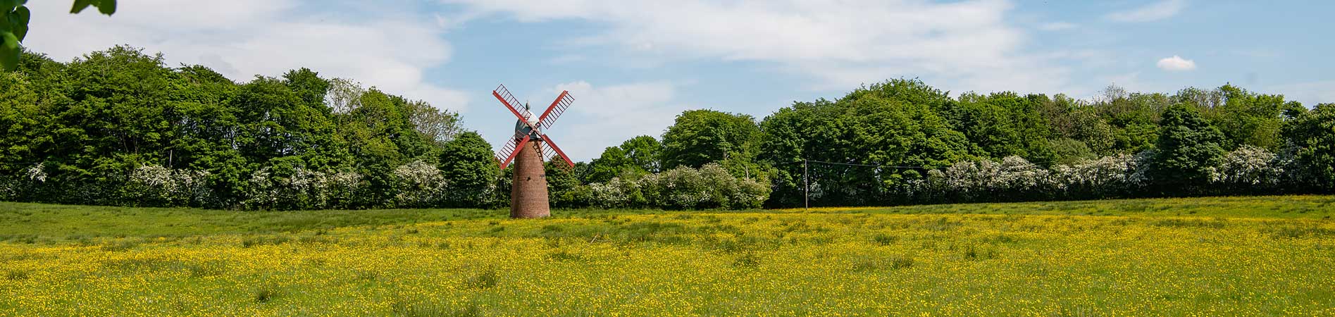 Windmill at Haigh